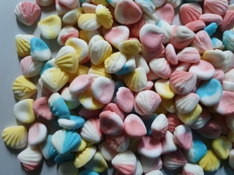 Foam Sea Shell Sweets